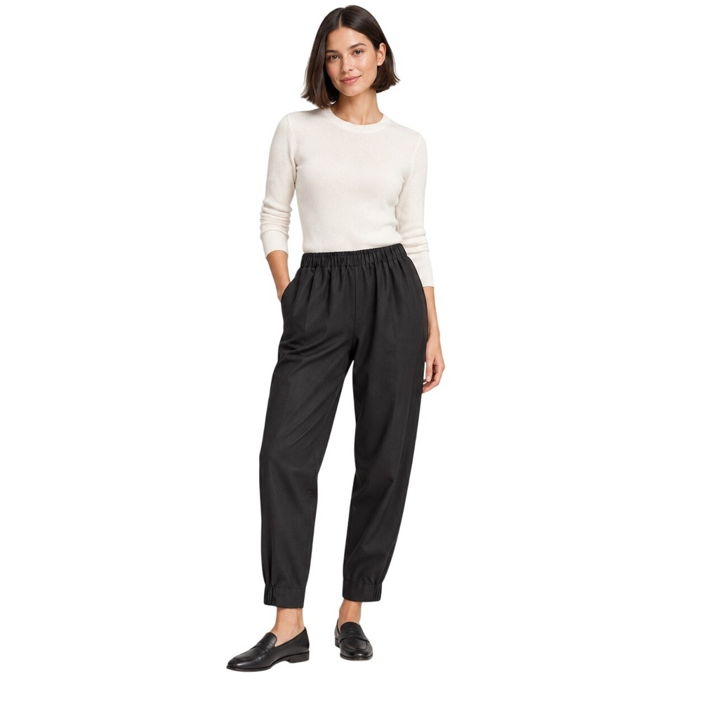 Aritzia Babaton Dexter Italian Wool Blend Pull-On Tapered Pants Black Size S